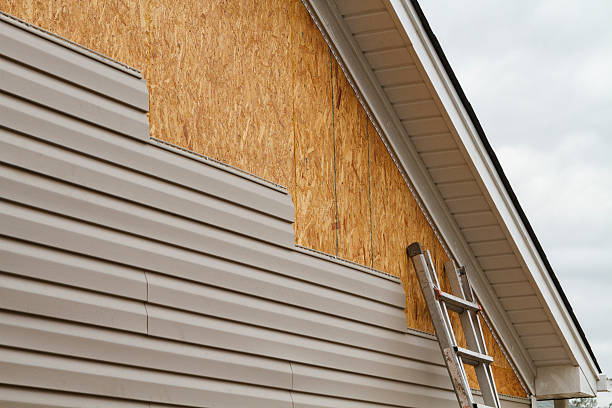 Professional Siding Inspection technician working in Watertown, MN